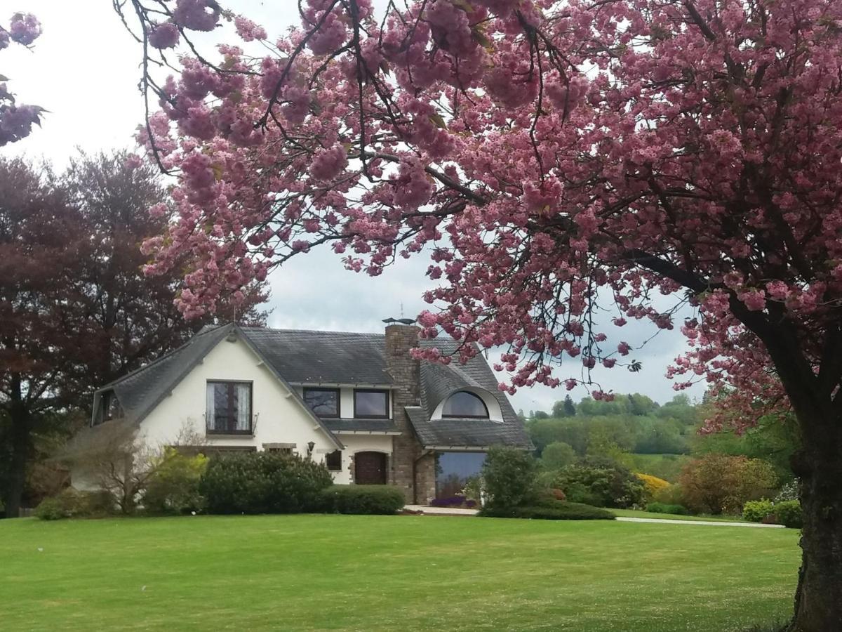 Elegant Villa In Stavelot With Fitness Playroom Zewnętrze zdjęcie