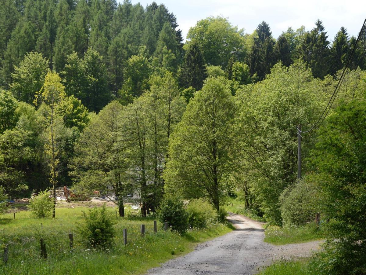 Elegant Villa In Stavelot With Fitness Playroom Zewnętrze zdjęcie